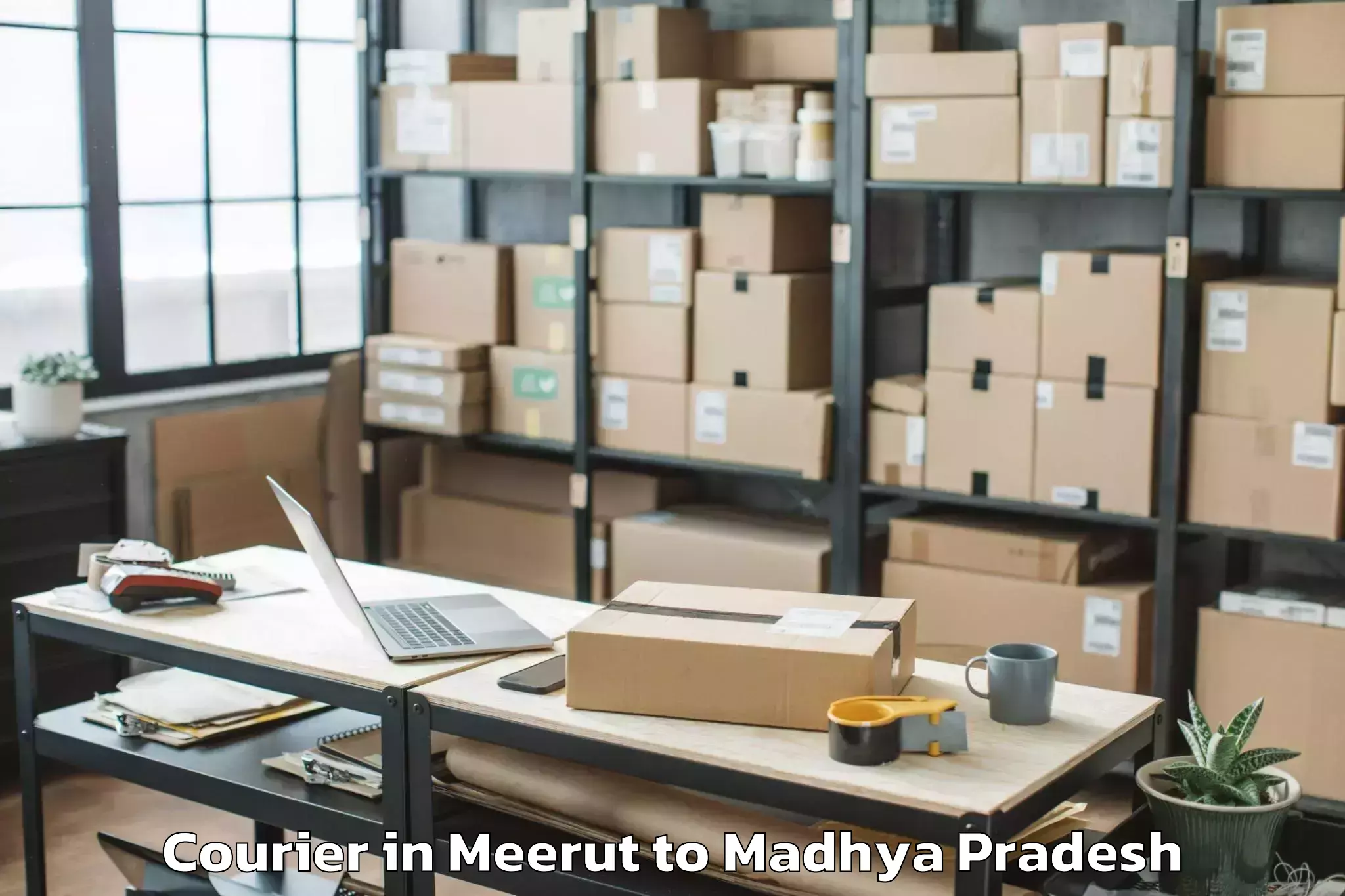 Affordable Meerut to Bamora Courier